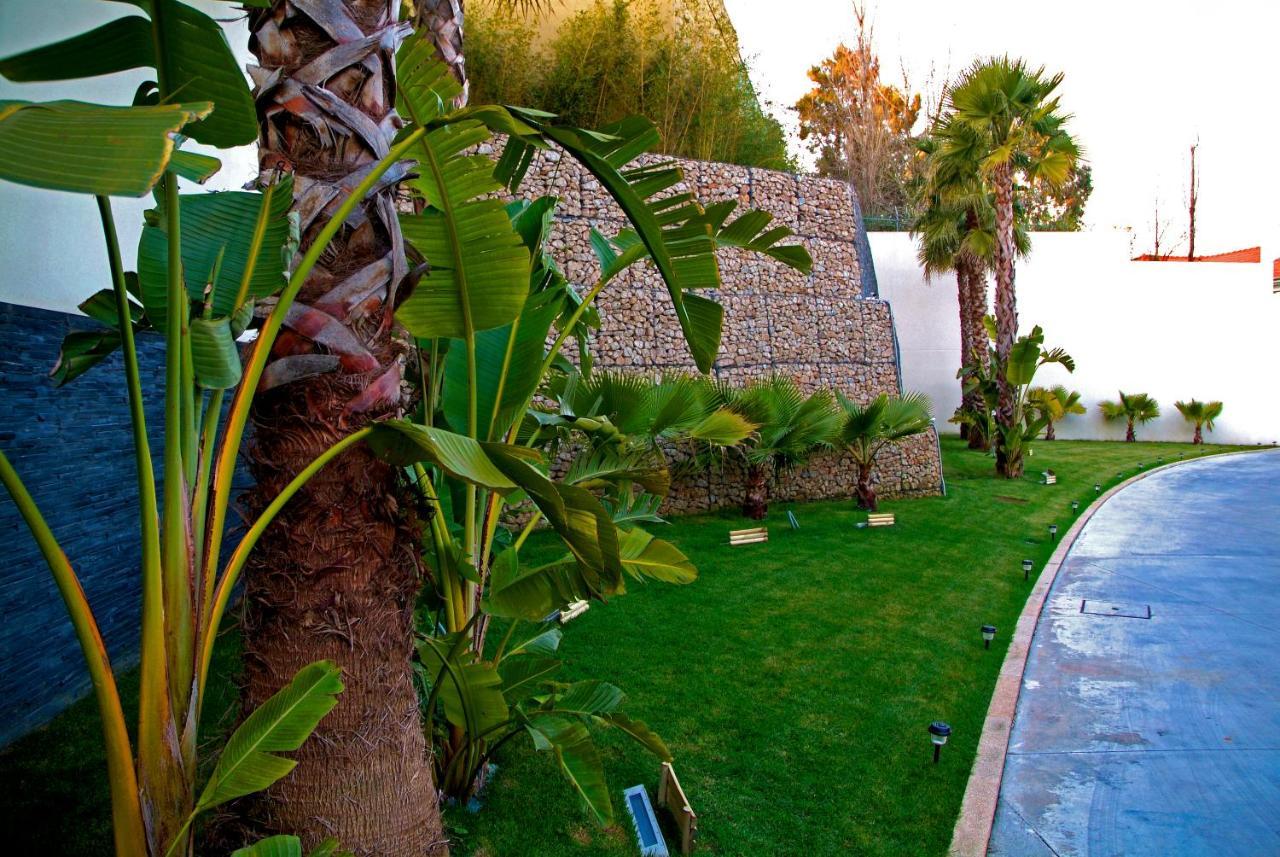 Perafita Motel Flamingo מראה חיצוני תמונה